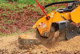 Best Tree Trimming and Pruning  in Sequim, WA